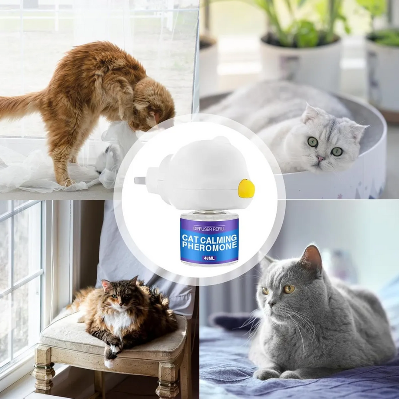 Difusor de Feromônios Calmantes para Gatos