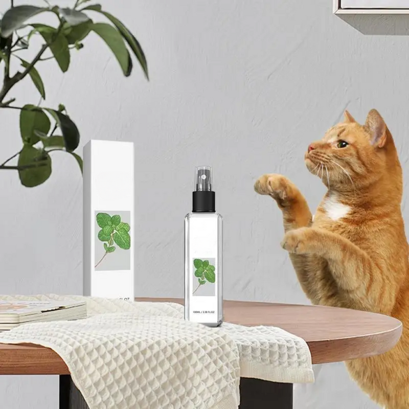 Spray Estimulante de Catnip para Gatos